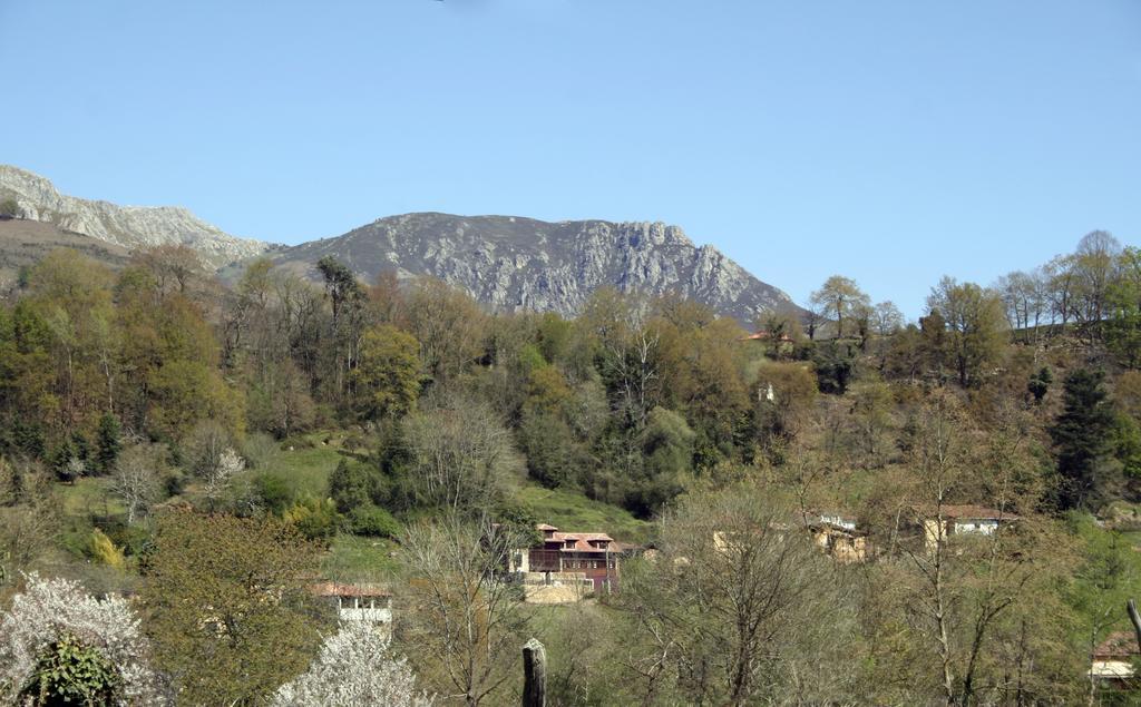 Las Casas Rurales Huerta San Benito Villamayor  Экстерьер фото